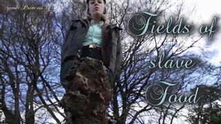 Fields of slave Food