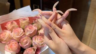 #262 - Posing my long shiny nails on flowers