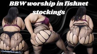 BBW worship in fishnet stockings