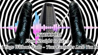PSYHODOM: From Straight to Gay 3 - A Cage Without Walls - Your Fantasies Lock You In 26 min (MaleDom)