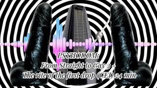 PSYHODOM: From Straight to Gay 5 - The rite of the first drop (CEI) 24 min (MaleDom)