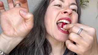 sharp teeth will bite this small bears