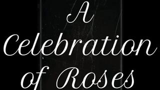 A Celebration of Roses