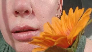 Stevie inducing pignose sneezes with a flower stem