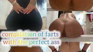compilation of farts with the perfect ass
