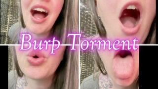 Burp Torment *wmv*