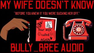 My Wife Doesn't Know Audio