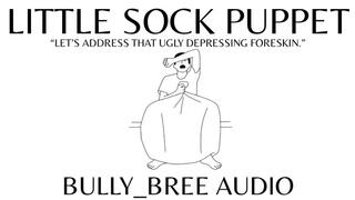 Little Sock Puppet Custom Audio