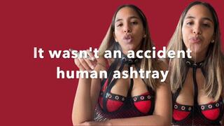 It wasn't an accident-human ashtray