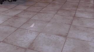 WHITE SLIP FLOPS