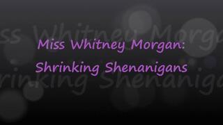 Shrinking Shenanigans Vore with Whitney Morgan - wmv