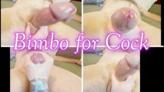 Bimbo For Cock *wmv*