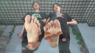 Two goddesses with beautiful feet tempting to step on gummies!