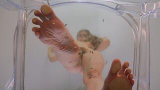 Worship My Feet 'Til They End You | Giantess Foot Crush Domination