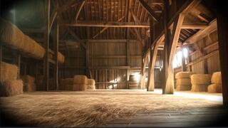 Castrated, gelded in the barn - ASMR , CASTRATION, GELDING