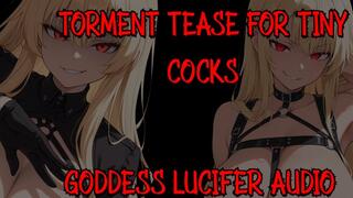Torment Tease for Tiny Cocks