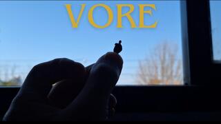 Little man eaten while looking out of window