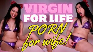 Virgin for Life, Porn for Wife