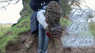 Look, Lick and eat, slave