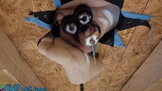 Chastity Milking Bastinado HD