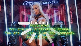 Porn exe: You Are Now a Stroking Drone! You are the file! I am the team! Goon forever!