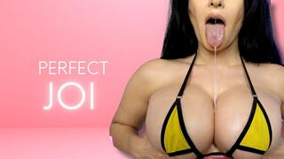 Perfect JOI (Topless)
