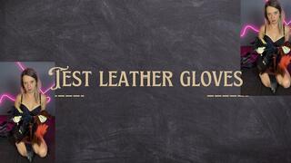 test leather gloves collection
