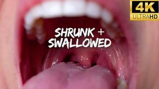 Shrunk and Swallowed by my Throat - Your Friend Jaq Quicksilver Shrinks and Vores You to Dissolve Inside - close-up, vore, digestion, uvula, teeth, lips - 4k mp4