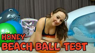 1336 Honey and the orange ball