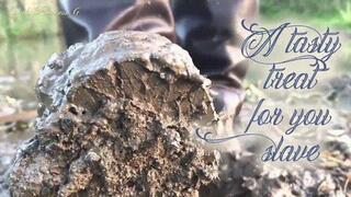 A Tasty Treat for you slave