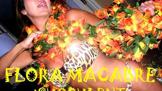 Flora Macabre: Succulent (starring Hollywood) (MP4)