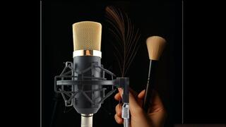 The Laughing Ward A tickle fetish fantasy MP3