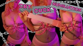 cbt cuck humiliation