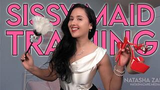 Sissy Maid Training