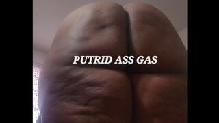 PUTRID ASS GAS