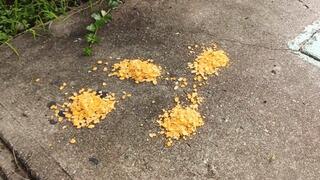 Crushing and stomping in beautiful stiletto heels (3)