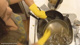 Punished by Dishwashing 480p wmv