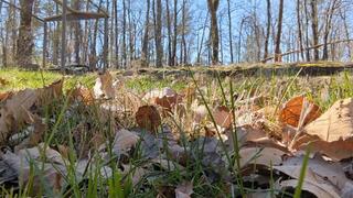 Big, Sexy Up Close Foot Tease