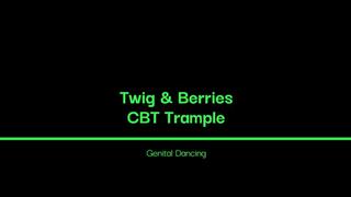 Genital Dancing