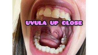 uvula up close