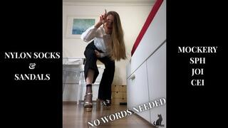 Mockery No Talk - Loser SPH JOI CEI - Nylon Socks & Sandals