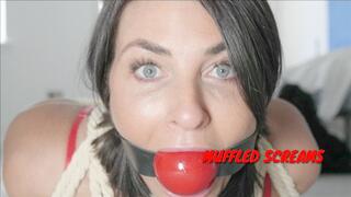 Sarah robbed and bound