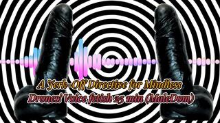A Jerk-Off Directive for Mindless Drones! Voice fetish 25 min (MaleDom)