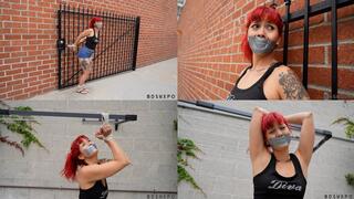 Rose 3 - Brick & Mortar Desires