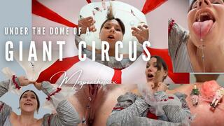 Under The Dome of a Giant Circus