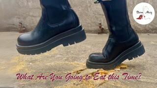 What Are You Going to Eat This Time?