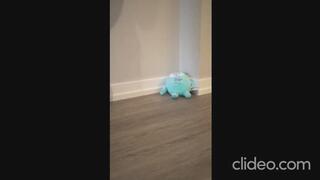 kicks plush toy in high heel boots, dominates, tramples