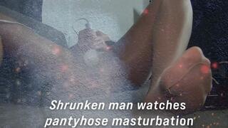 Shrunken man watches Pantyhose masturbation up close 2