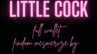 LITTLE COCK, FULL WALLET