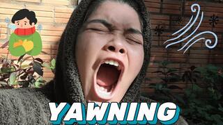 Cold Morning Yawns – Wrapped Up and Sitting in the Sun